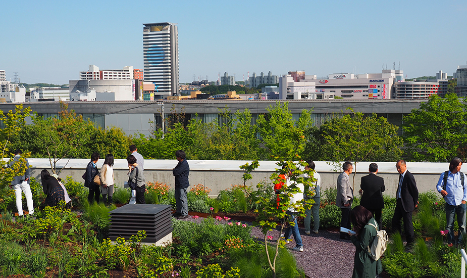 ©EDSA | Insights | People on Rooftop