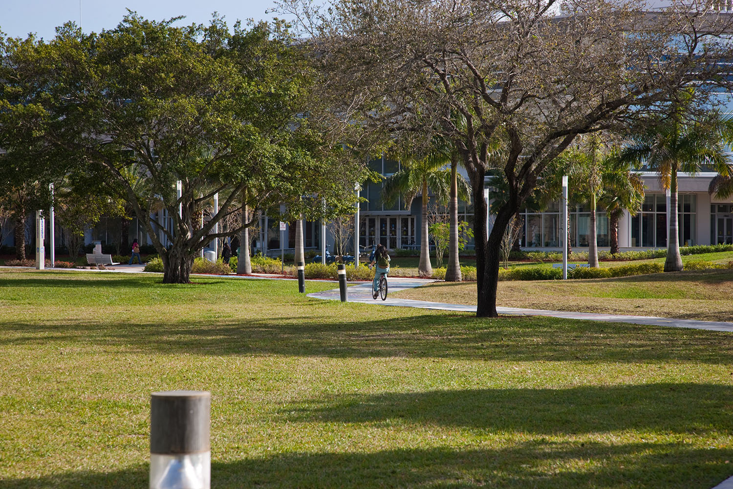Condos Near Nova Southeastern University