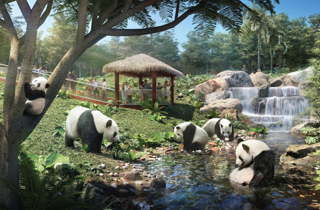 ©EDSA | Mysterious Rainforest Kingdom | Pandas