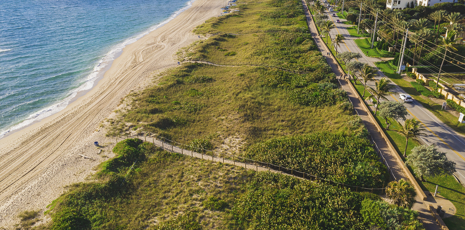 ©EDSA | Delray Beach Revitalization | View of Beach and Dunes