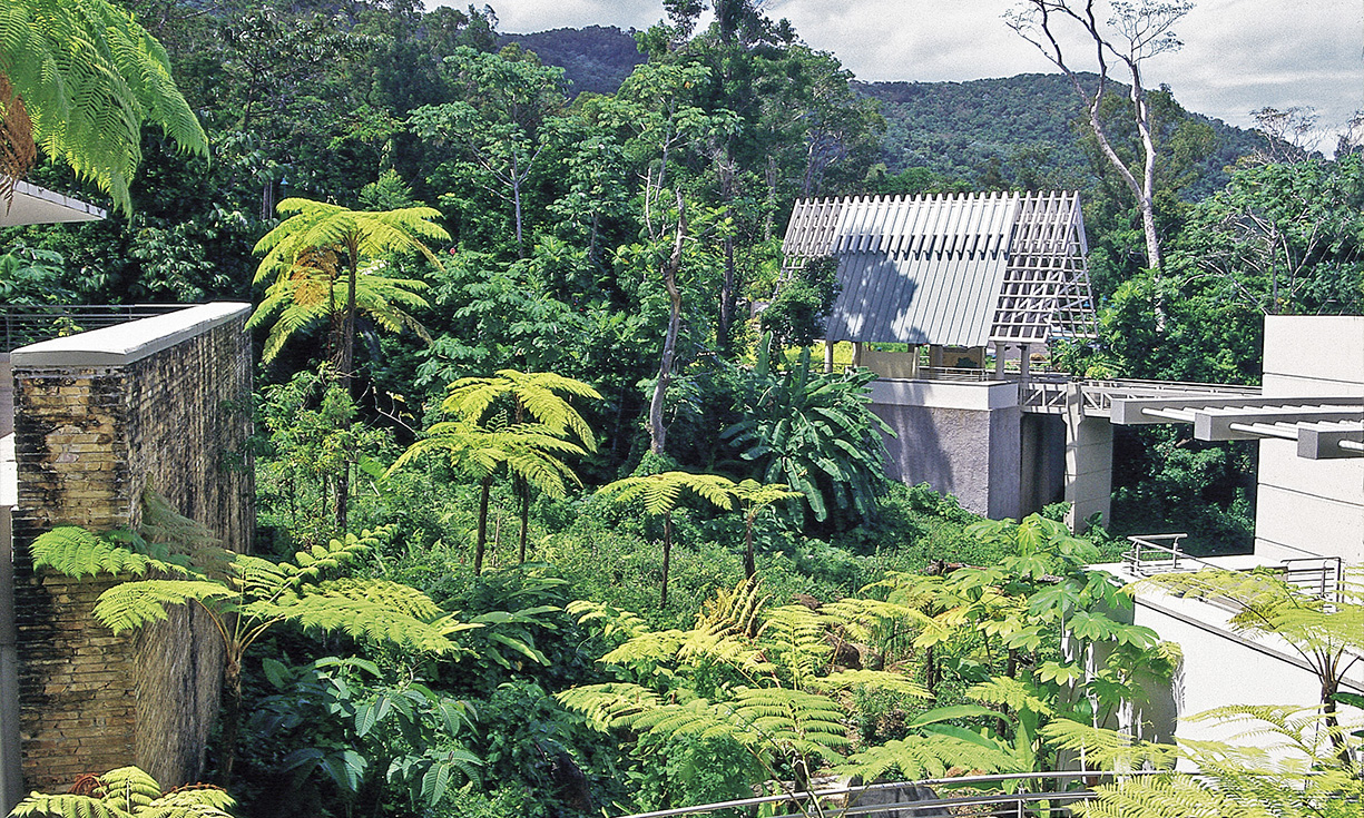 ©EDSA | El Portal Tropical Rainforest Center | Forest with Building in Distance