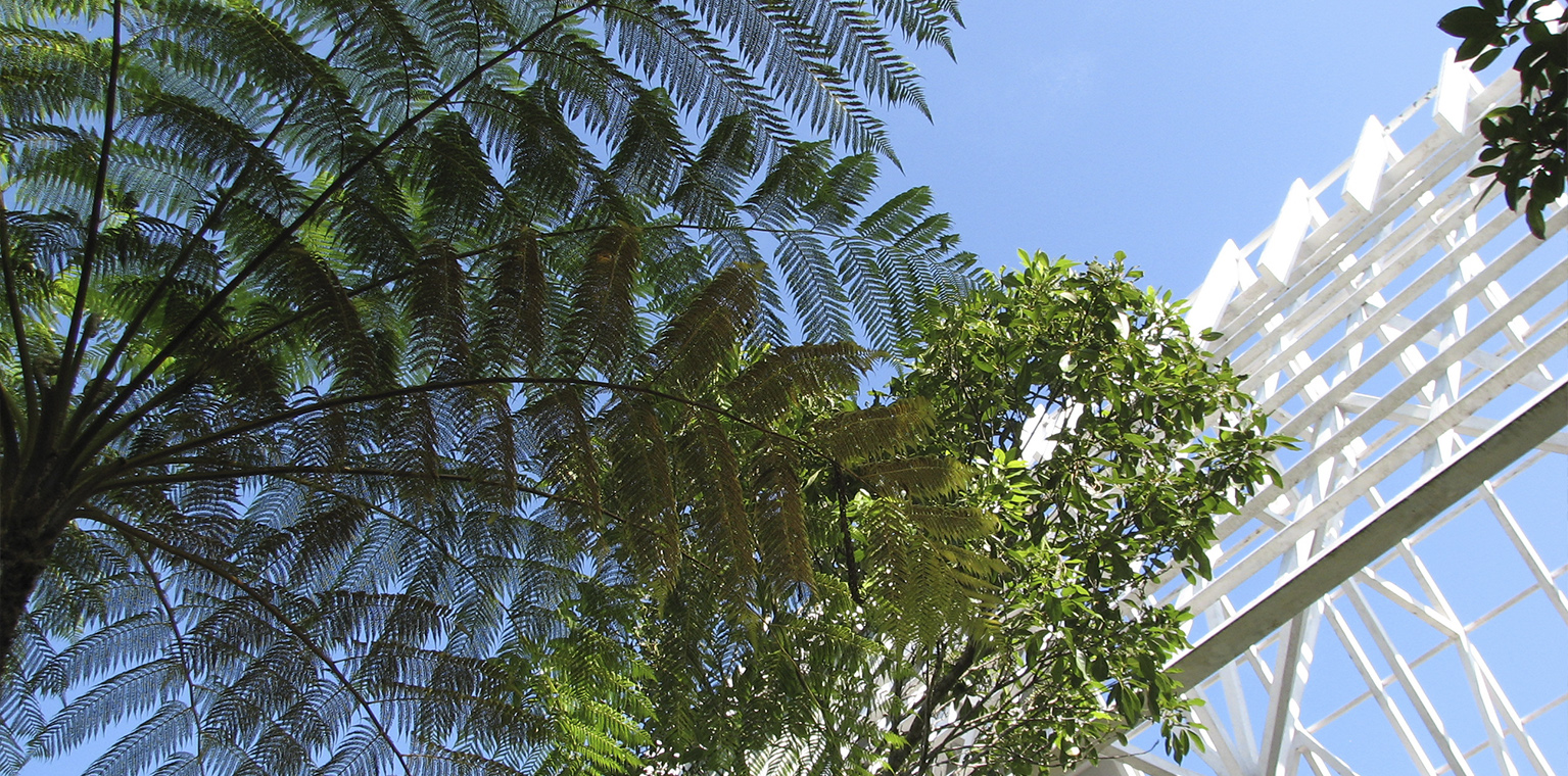 ©EDSA | El Portal Tropical Rainforest Center | Sky View with Trees and Building