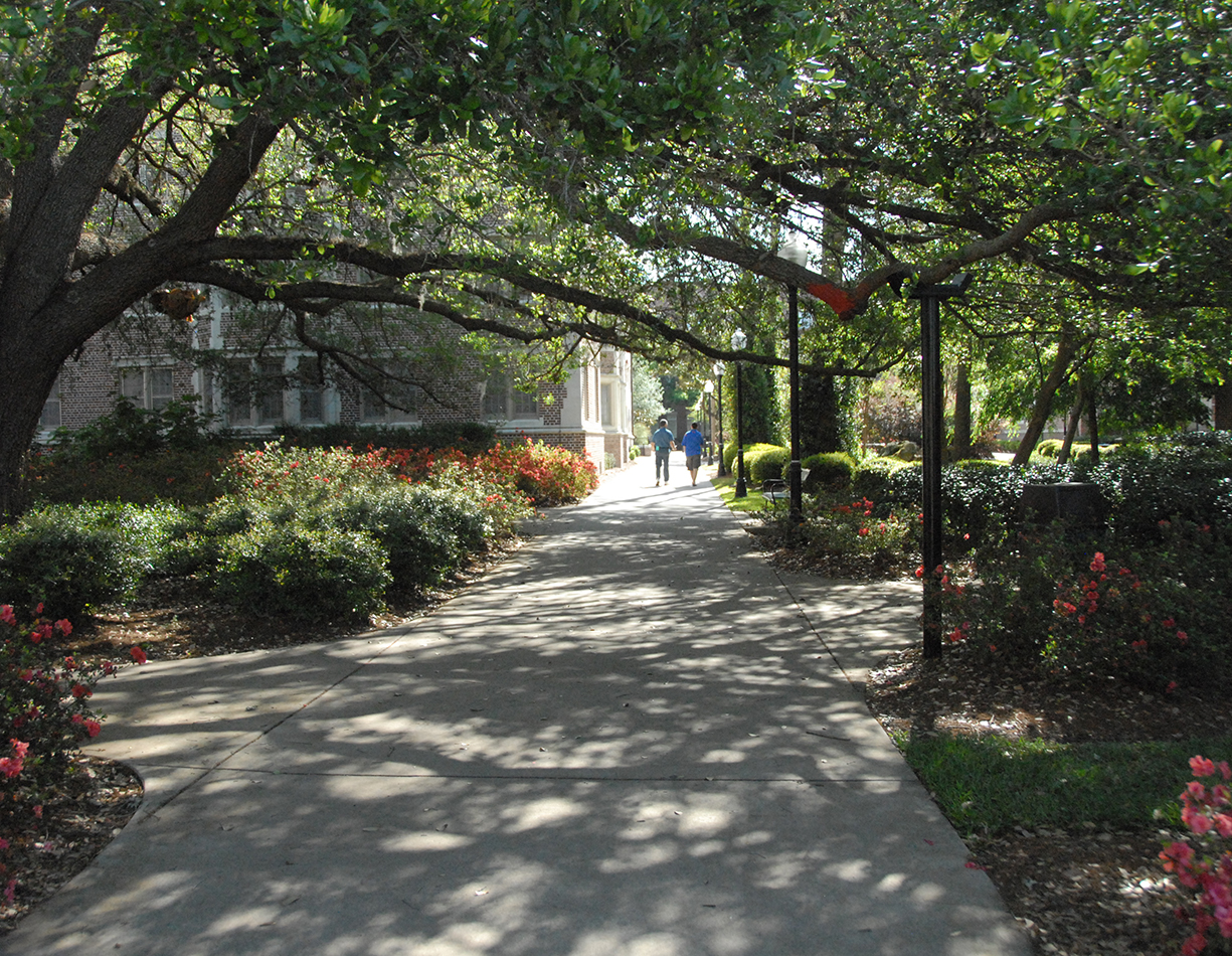 ©EDSA | University of Florida | Shaded Path