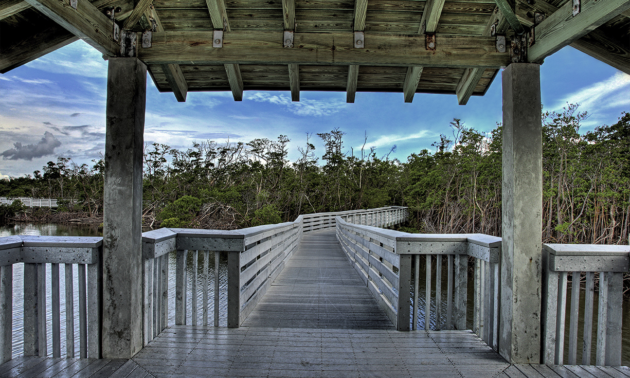 ©EDSA | West Lake Park | Dramatic view of wooden pathway