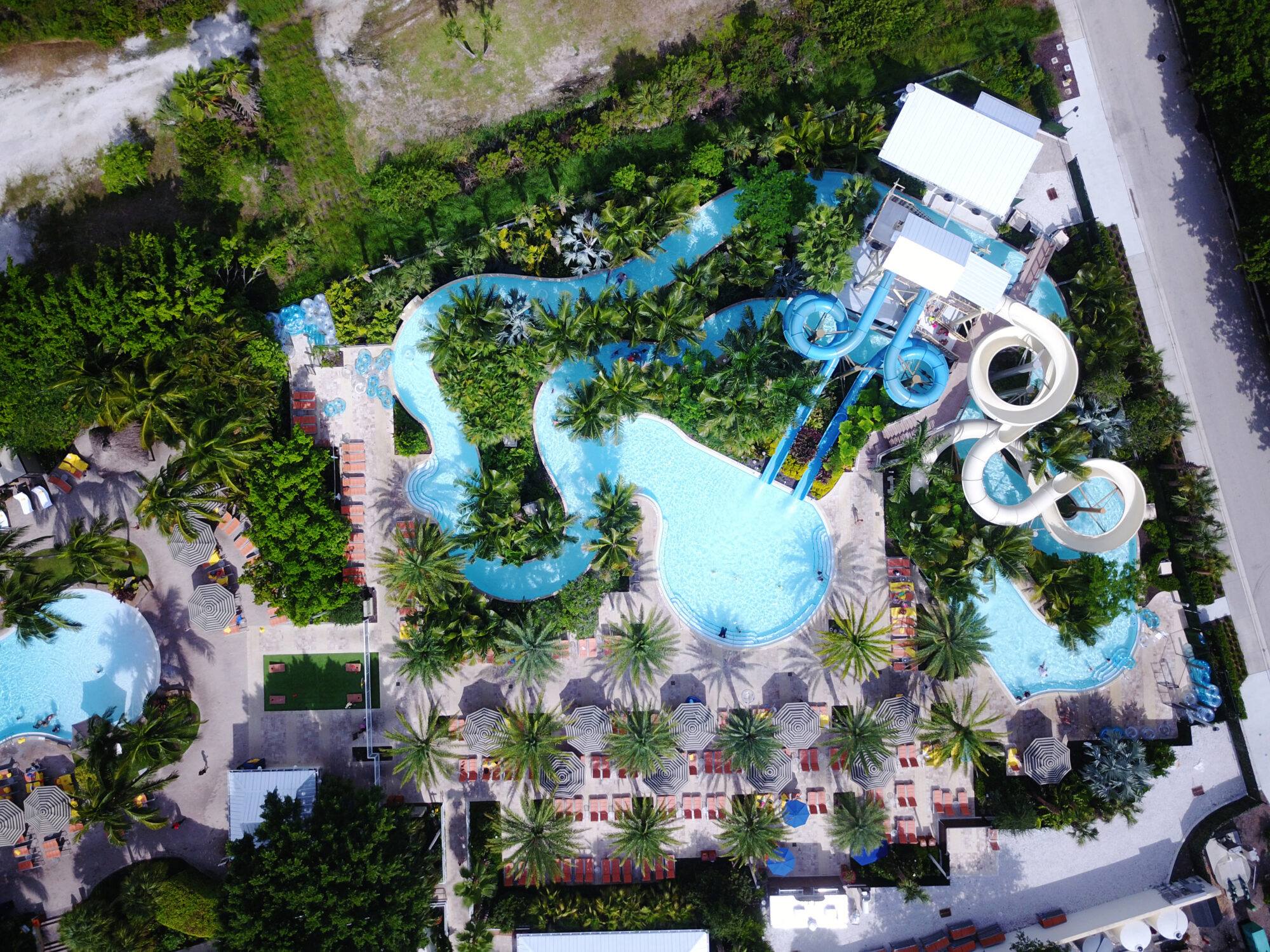 EDSA Hyatt Regency Coconut Point Resort & Spa Arts & Entertainment