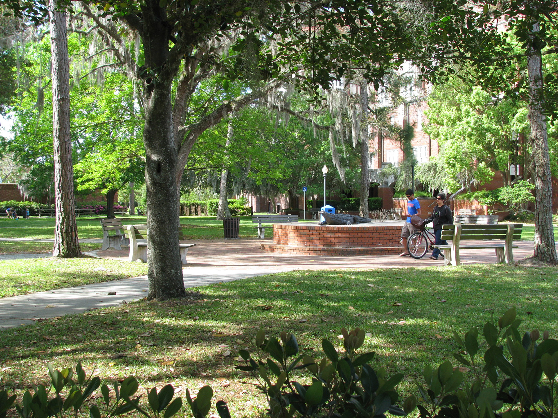 edsa-university-of-florida-campus-and-healthcare-usa